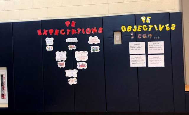 PE Expectations and Objectives